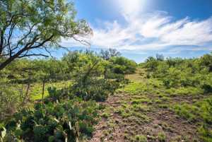 - EOR-North Spur Rd (22)