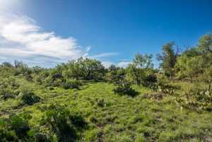 - EOR-North Spur Rd (23)
