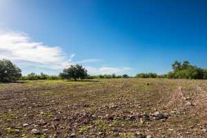 - EOR-North Spur Rd (24)