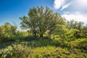 - EOR-North Spur Rd (25)