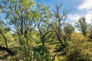 - EOR-North Spur Rd (27)