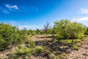 - EOR-North Spur Rd (28)