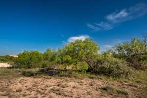 - EOR-North Spur Rd (30)