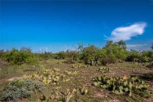 - EOR-North Spur Rd (31)