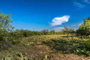 - EOR-North Spur Rd (32)