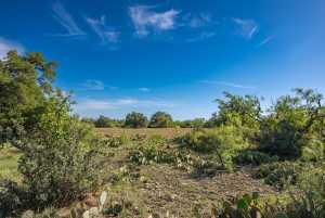 - EOR-North Spur Rd (33)