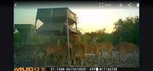 - EOR-North Spur Rd (5)