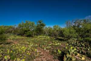 - EOR-North Spur Rd (17)