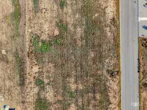 1806 Fringe Circle (4)