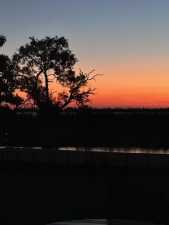 1820 Shady Point Circle Dr (58)