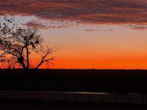 1820 Shady Point Circle Dr (51)