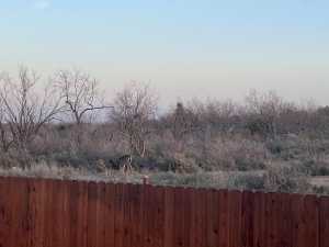 1609 Club House Lane (46)