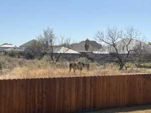 1609 Club House Lane (49)