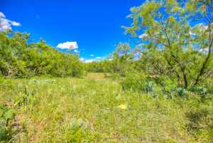 6200 Navajo Rd (48)