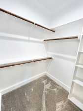 1328 Stone Ledge Lane (24)