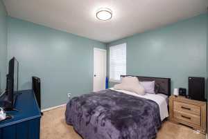 1228 Wallace Lane (18)