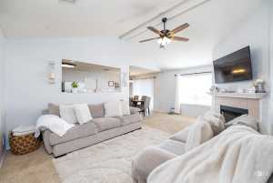 1228 Wallace Lane (6)