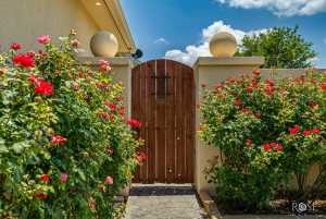 614 Ashford Dr (64)