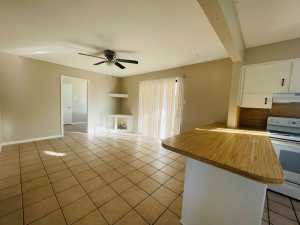 2034 Cat Tail Lane (8)