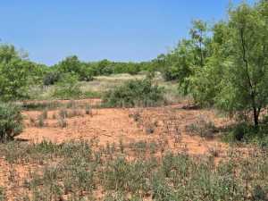 - Hwy 277N (3)
