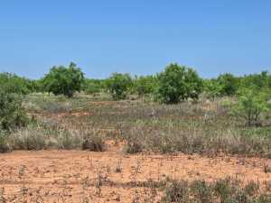 - Hwy 277N (4)