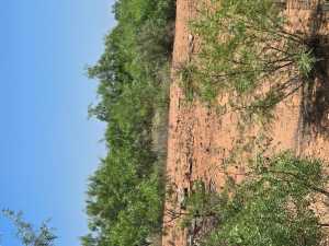 - Hwy 277N (5)