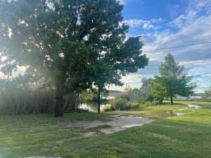 2030 # 2 Cat Tail Lane (10)