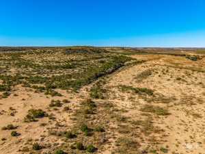 10845 County Rd 101 (40)