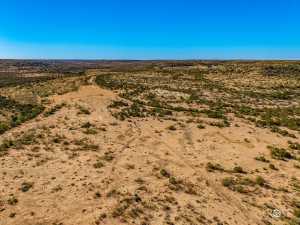 10845 County Rd 101 (43)