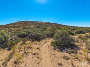 10845 County Rd 101 (46)