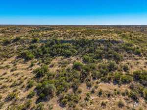 10845 County Rd 101 (51)