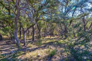 10845 County Rd 101 (34)