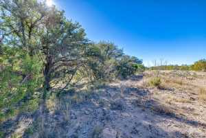 10845 County Rd 101 (37)