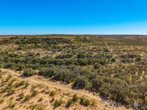 10845 County Rd 101 (59)