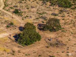 10845 County Rd 101 (75)