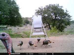 10845 County Rd 101 (77)