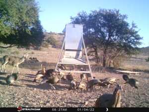 10845 County Rd 101 (78)