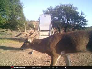 10845 County Rd 101 (79)