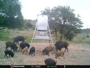 10845 County Rd 101 (80)