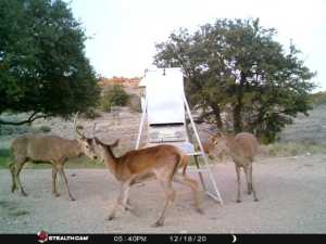 10845 County Rd 101 (81)