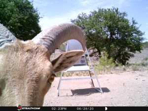 10845 County Rd 101 (82)