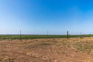 2280 County Rd 4606 (36)