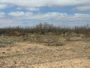 3234 Upland Trail (2)