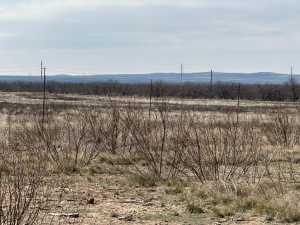 3234 Upland Trail (4)
