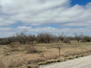 3234 Upland Trail (6)