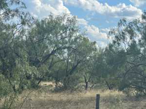 3234 Upland Trail (8)