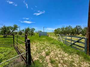 15901 FM 2402 (62)