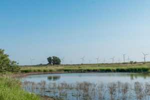 350 County Rd 146