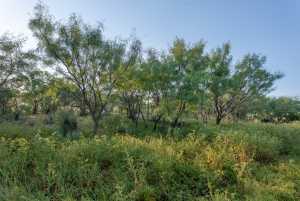 350 County Rd 146 (13)