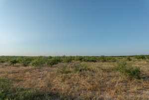 350 County Rd 146 (14)